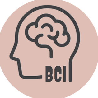 Brain-Computer Interfaces BCI